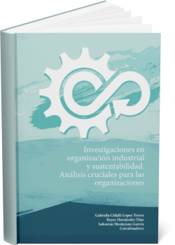 portada investigaciones en organización industrial